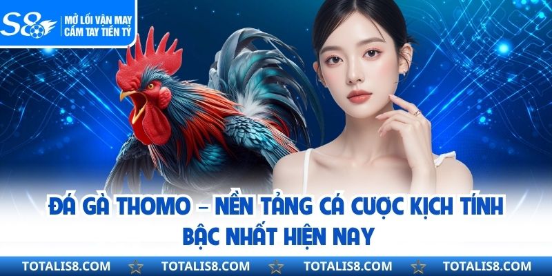 Đá Gà Thomo – Nền Tảng Cá Cược Kịch Tính Bậc Nhất Hiện Nay