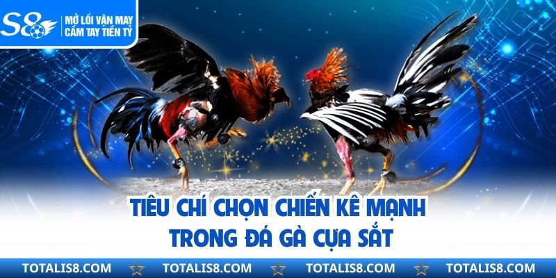 Tiêu chí chọn chiến kê mạnh trong đá gà cựa sắt