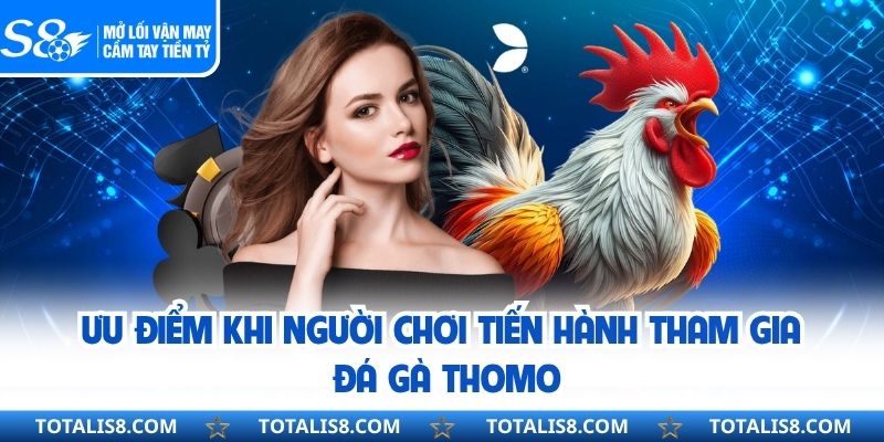 Đá Gà Thomo – Nền Tảng Cá Cược Kịch Tính Bậc Nhất Hiện Nay Ưu điểm khi người chơi tiến hành tham gia đá gà thomo